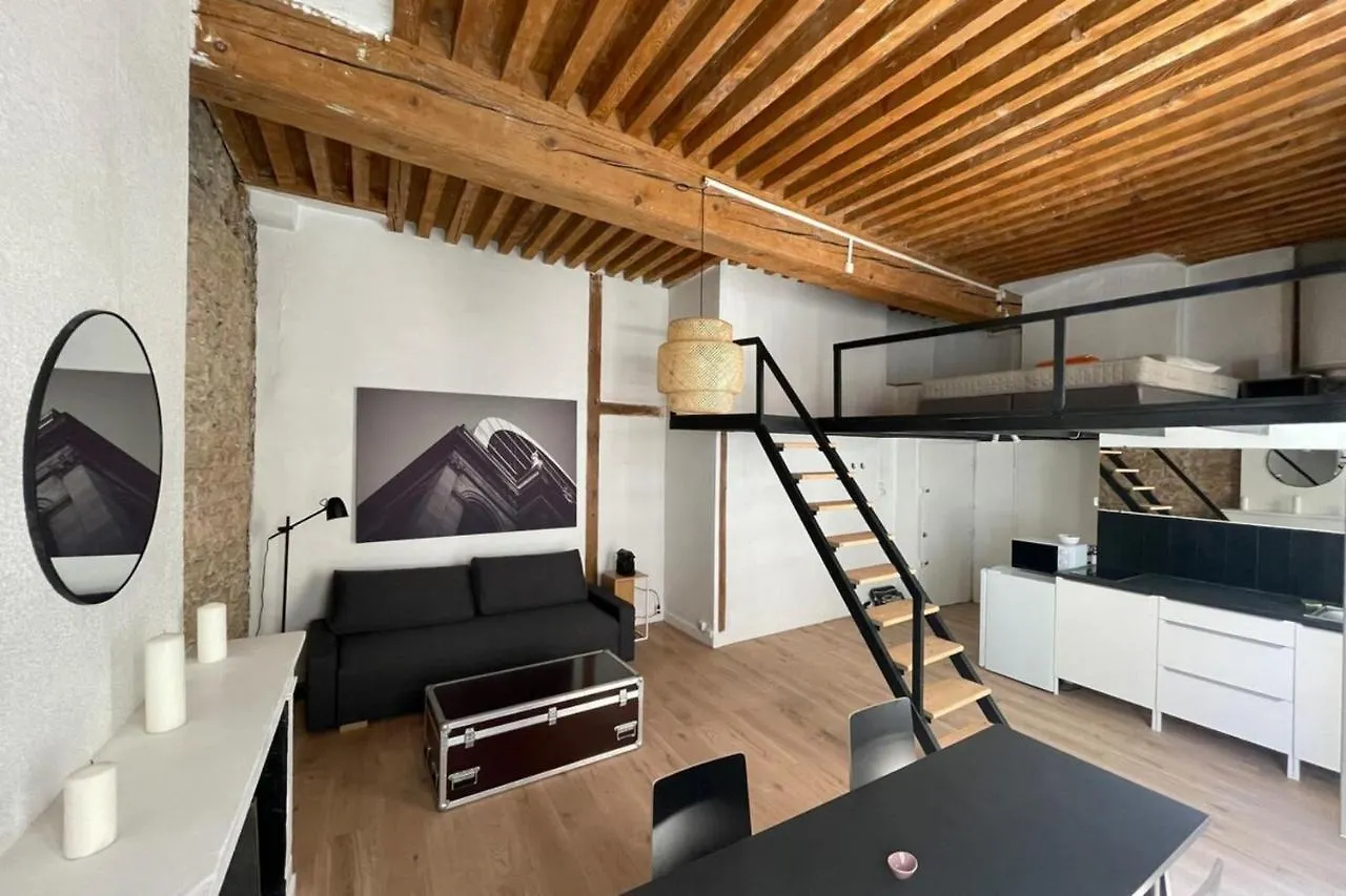 Apartment Carmelites-Charmant 4 Pers-Pentes Croix Rousse Lyon France