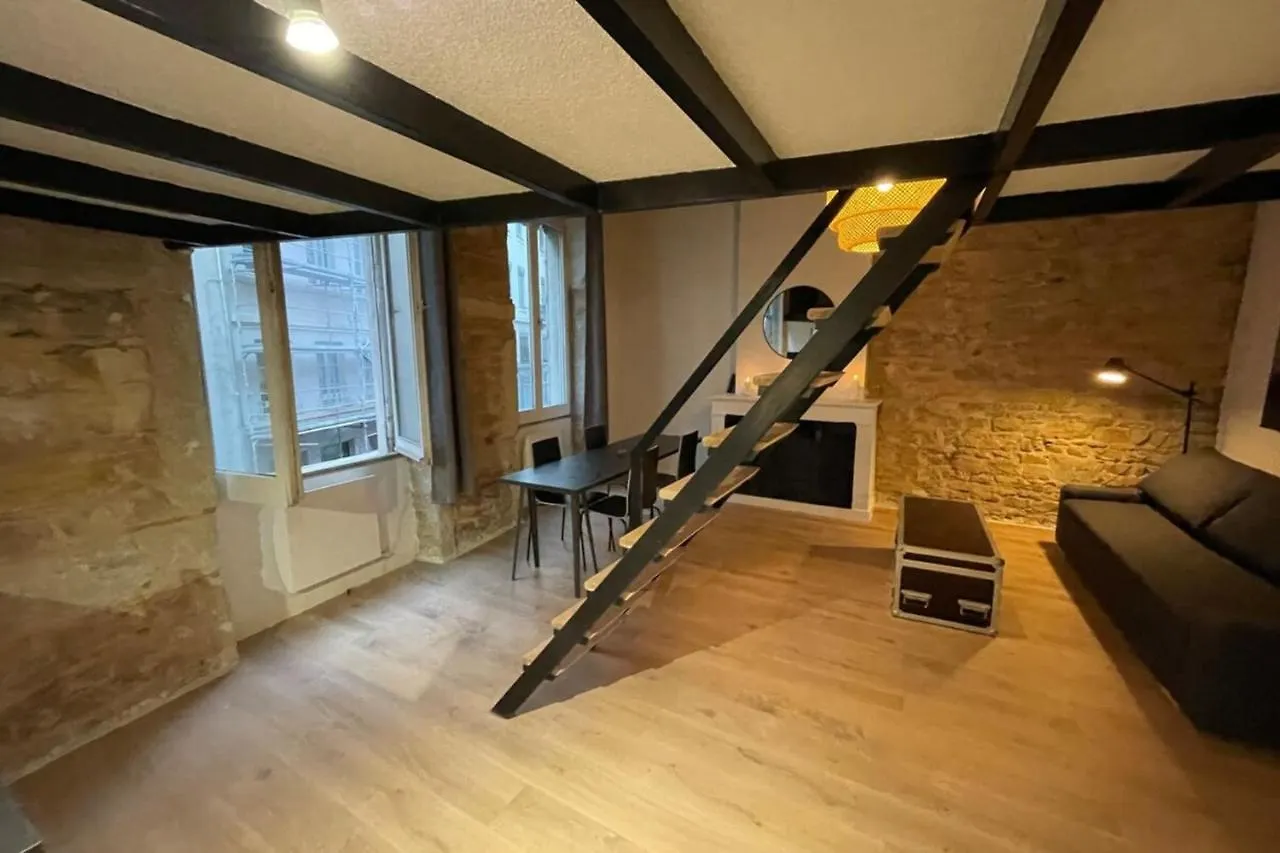 Carmelites-Charmant 4 Pers-Pentes Croix Rousse Lyon Appartement